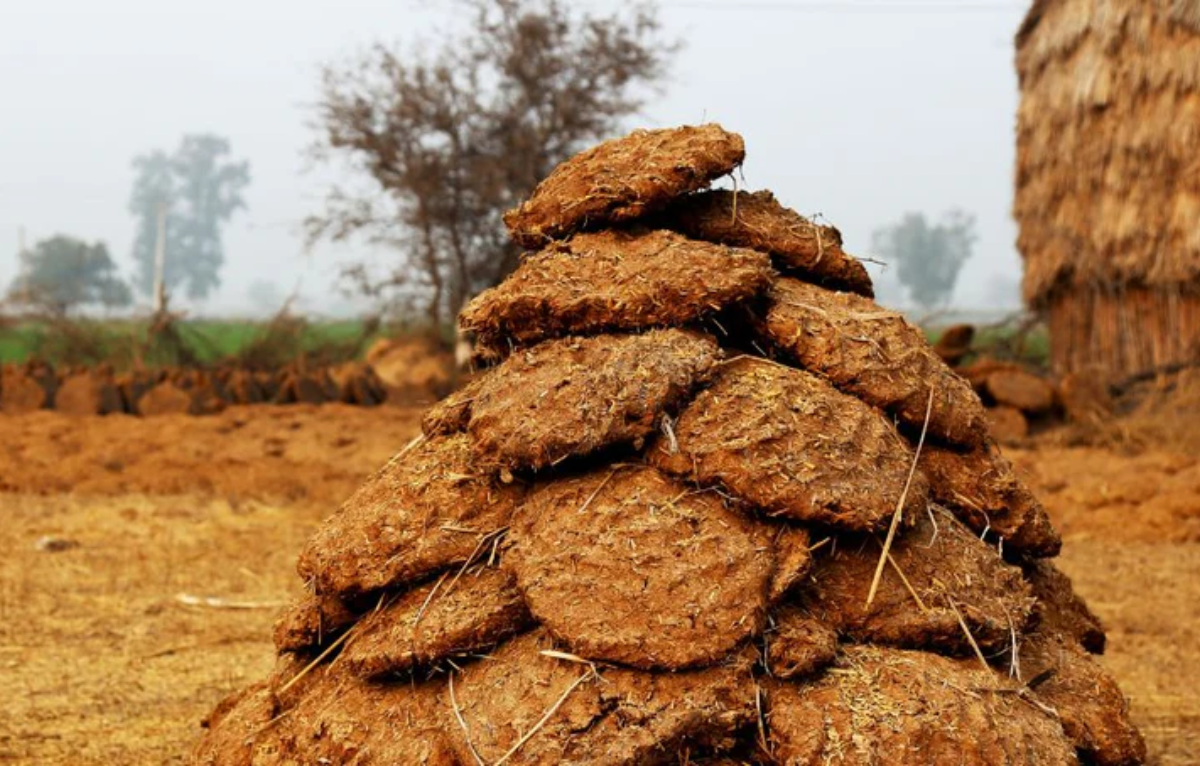 Untitled design – 2026-03-05T154044.838